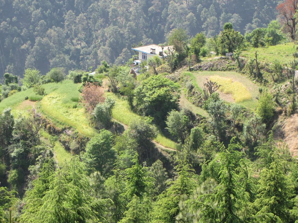 Shimla Nature Ville Екстер'єр фото